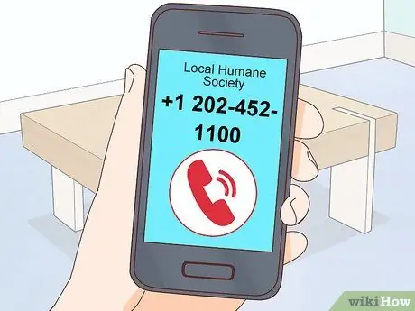 Помогите остановить жестокое обращение с животными Шаг 10
