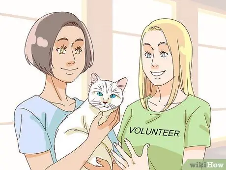 Помогите остановить жестокое обращение с животными Шаг 12