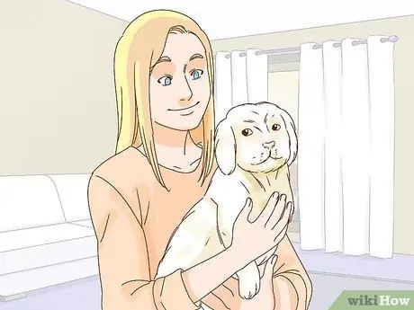 Помогите остановить жестокое обращение с животными Шаг 14