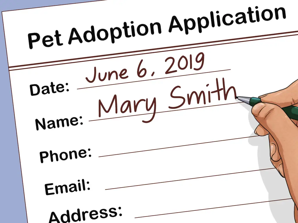 4 способа остановить жестокое обращение с животными