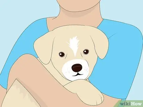 Помогите снизить браконьерство Шаг 3