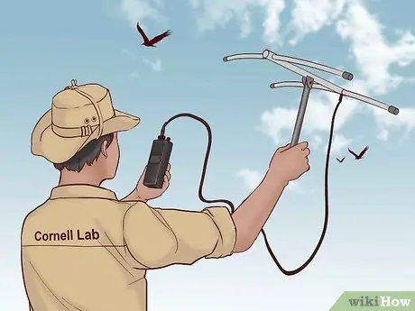 Спасение птиц, шаг 12