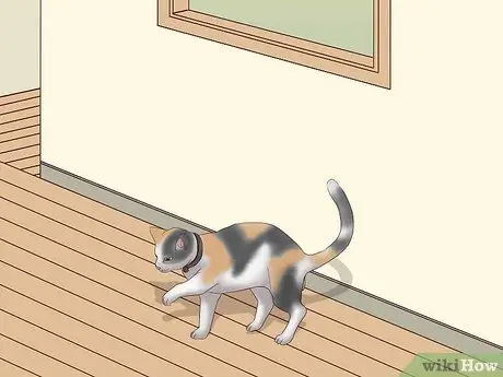 Спасение птиц, шаг 2