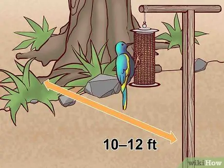 Спасение птиц, шаг 3