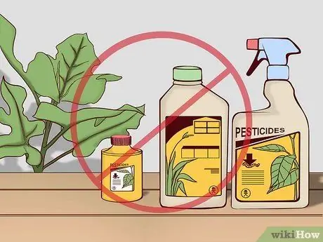 Спасение птиц, шаг 5