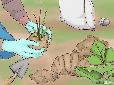 Спасение птиц, шаг 6