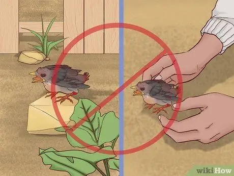 Спасение птиц, шаг 7