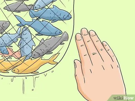 Защитить коралловые рифы Шаг 10