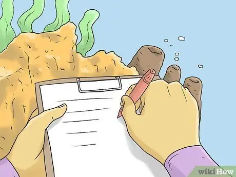 Защитить коралловые рифы Шаг 11