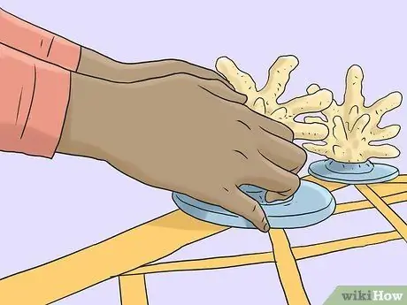 Защитить коралловые рифы Шаг 12