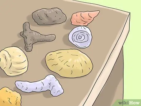 Защитите коралловые рифы, шаг 5