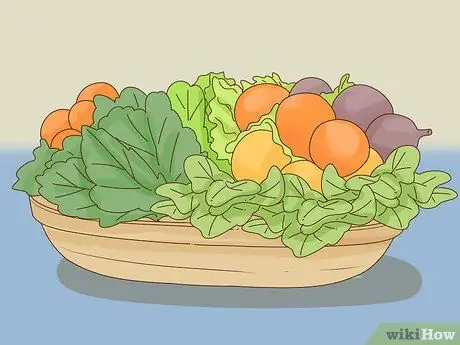 Сделайте свой вклад в предотвращение исчезновения животных Шаг 3