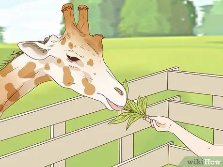 Сделайте свой вклад в предотвращение исчезновения животных Шаг 7