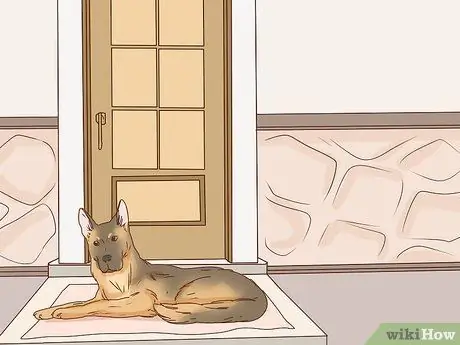 Сделайте свой вклад в предотвращение исчезновения животных Шаг 8