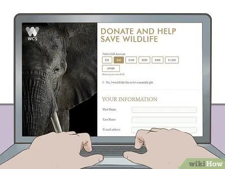 Защитите животных своими действиями Шаг 1