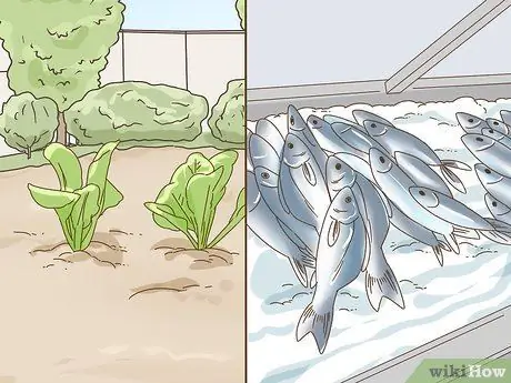 Защитите животных своими действиями Шаг 10