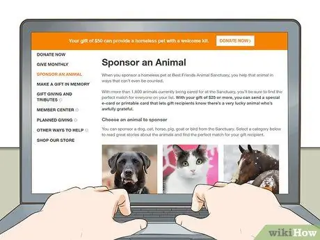 Защитите животных своими действиями Шаг 2