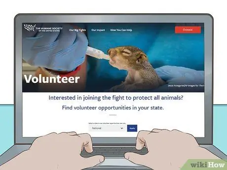 Защитите животных своими действиями Шаг 5