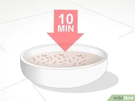 Накормить коралл, шаг 11