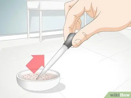 Накормить коралл, шаг 14