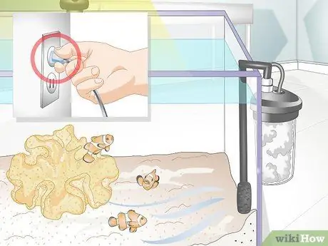 Накормить коралл, шаг 16