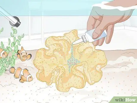 Кормить коралл, шаг 6