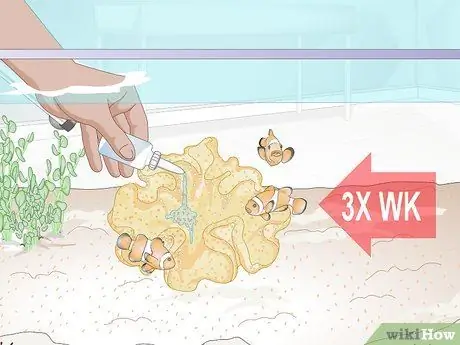 Накормить коралл, шаг 7