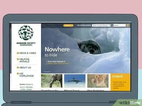 Помогите спасти китов, шаг 1