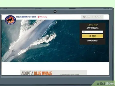 Помогите спасти китов Шаг 10