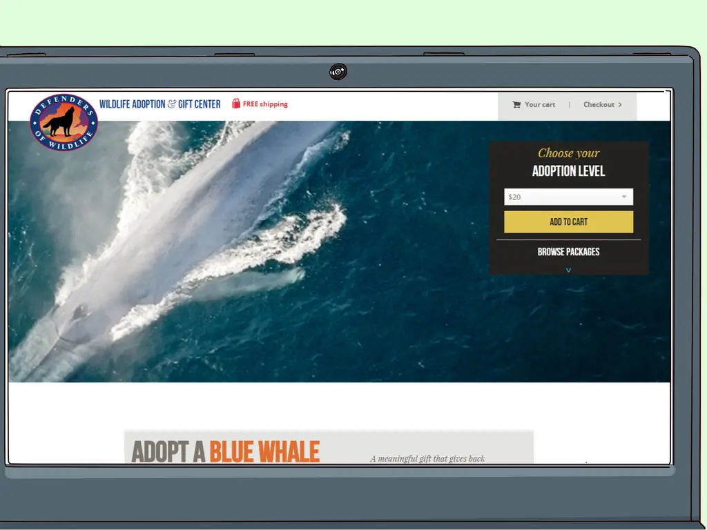 Как помочь спасти китов: 10 шагов (с изображениями)