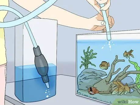 Снизьте уровень аммиака в аквариуме Шаг 2