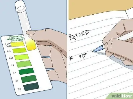 Снизьте уровень аммиака в аквариуме Шаг 4