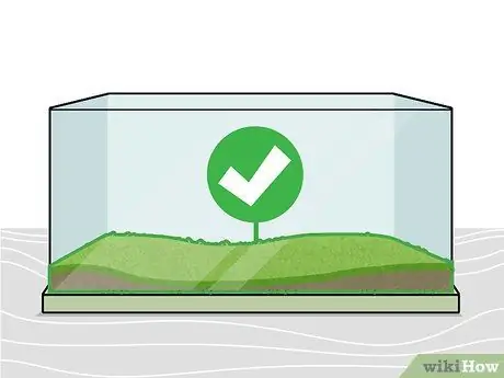 Выращивание пресноводных аквариумных растений, шаг 2