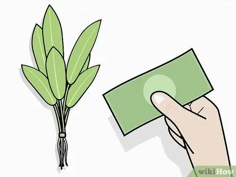 Выращивание пресноводных аквариумных растений, шаг 3