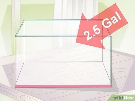 Установите Betta Tank Шаг 1