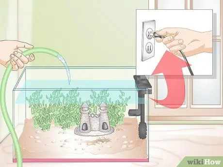 Установите Betta Tank Шаг 10