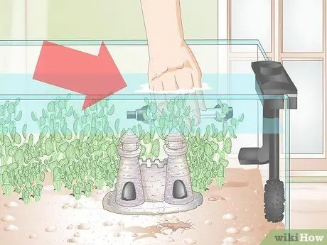 Установите Betta Tank Шаг 11