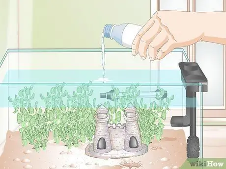 Установите Betta Tank Шаг 12