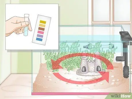 Установите Betta Tank Шаг 13