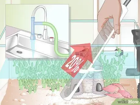 Установите Betta Tank Шаг 16