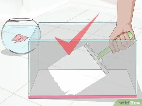 Установите Betta Tank Шаг 17