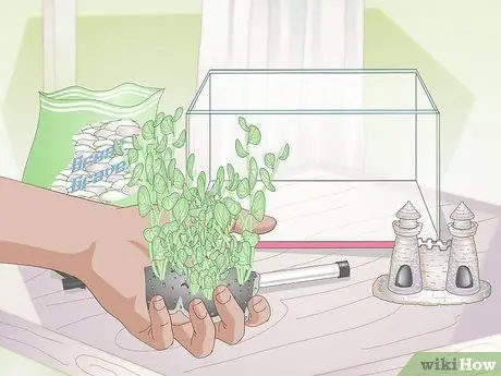 Установите Betta Tank Шаг 5