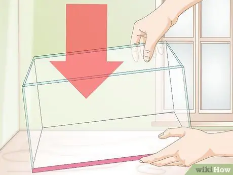 Установите Betta Tank Шаг 6