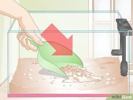 Установите Betta Tank Шаг 8