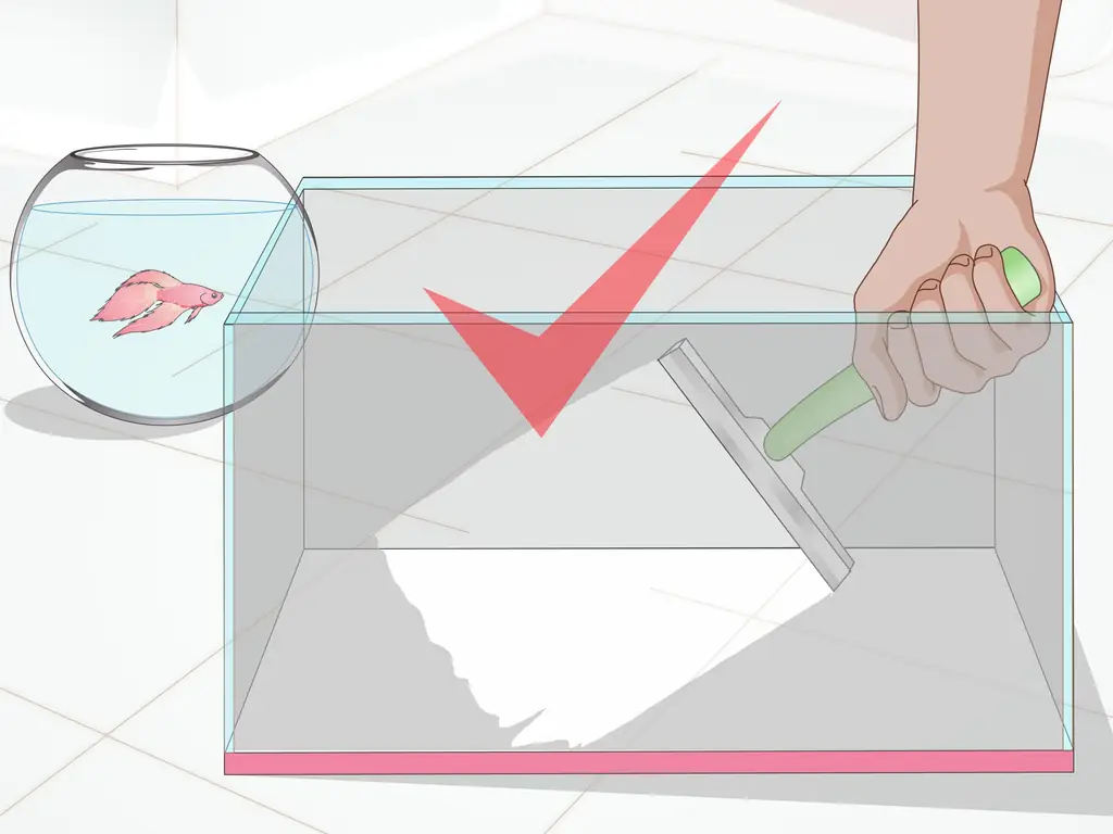 Как настроить Betta Tank (с изображениями)