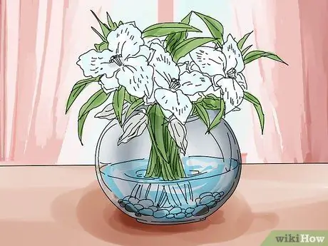 Преодолей смерть рыбы, шаг 6