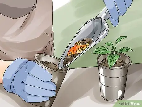 Преодолей смерть рыбы, шаг 9