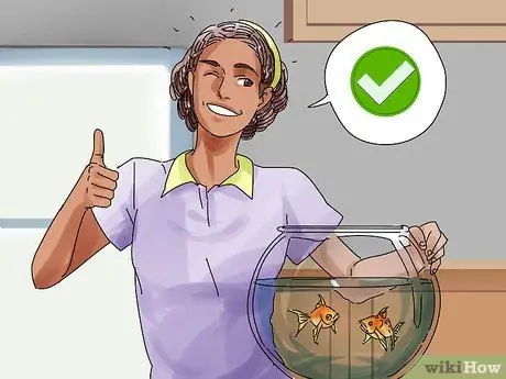 Преодолей смерть рыбы, шаг 10