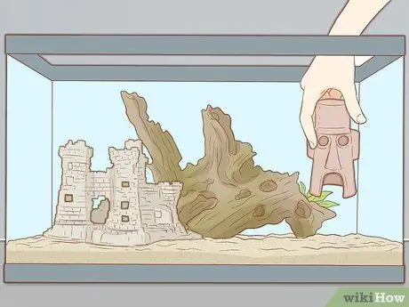 Добавление рыбы в новый аквариум, шаг 16