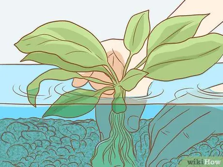 Добавить рыбу в новый аквариум, шаг 4